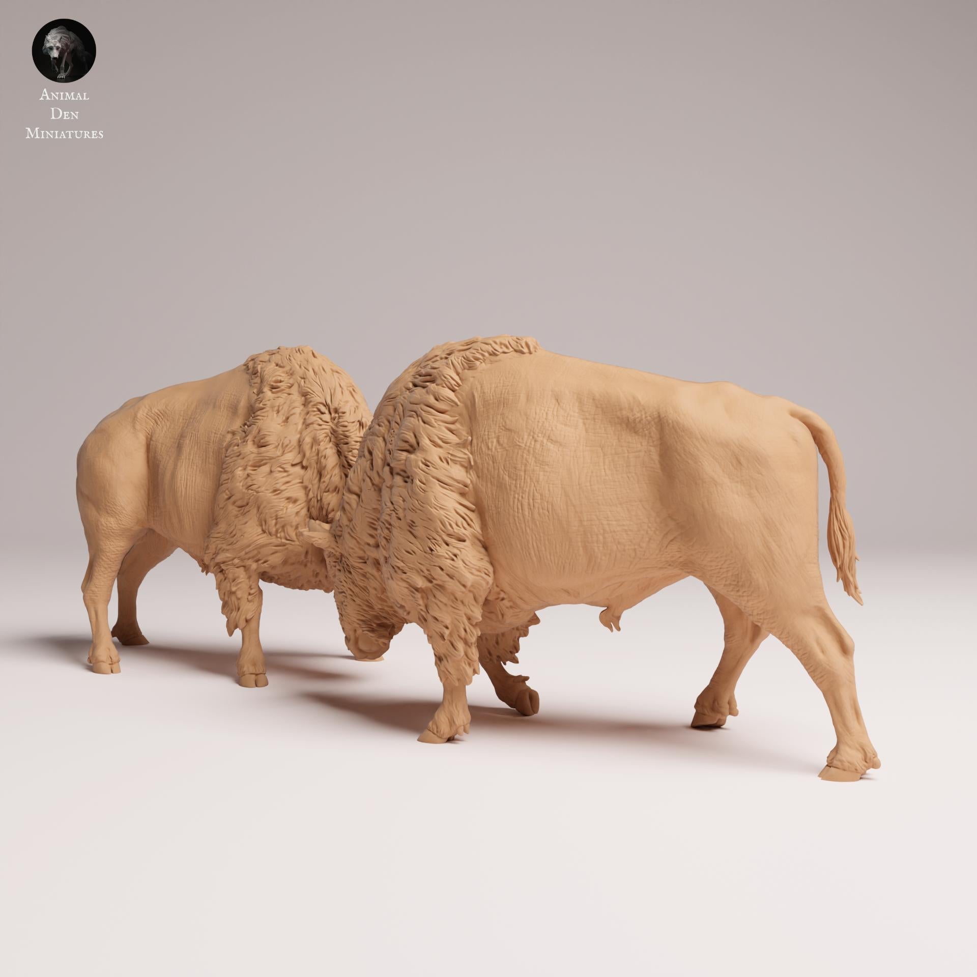 Product photo Animal Figure Diorama, Model Building: 0: Wildlife Figure: Fighting American Bison (Ref 25_09_09)
