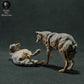 Produktfoto Tier Figur Diorama, Modellbau: 0: Wildtier Figur: Iberische Wölfe – Spielende Szene (Ref 01_01_29)