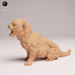Produktfoto Tier Figur Diorama, Modellbau: 0: Wildtier Figur: Amur Leopard Junges – brüllend (Ref 25_07_14)