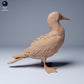 Produktfoto Tier Figur Diorama, Modellbau: 0: Meerestier Figur: Blaufußtölpel (Ref 24_08_10)
