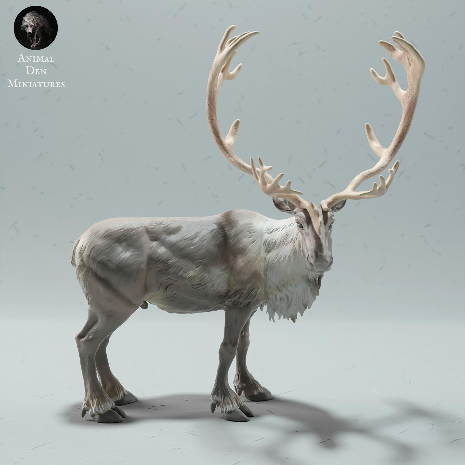 Product photo Animal Figure Diorama, Model Building: 0: Wild Animal Figure: Reindeer – Bull Caribou (Ref 01_01_68)