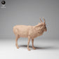 Produktfoto Tier Figur Diorama, Modellbau: 0: Wildtier Figur: Mongolische Saiga Antilope – Männchen (Ref 24_12_10)