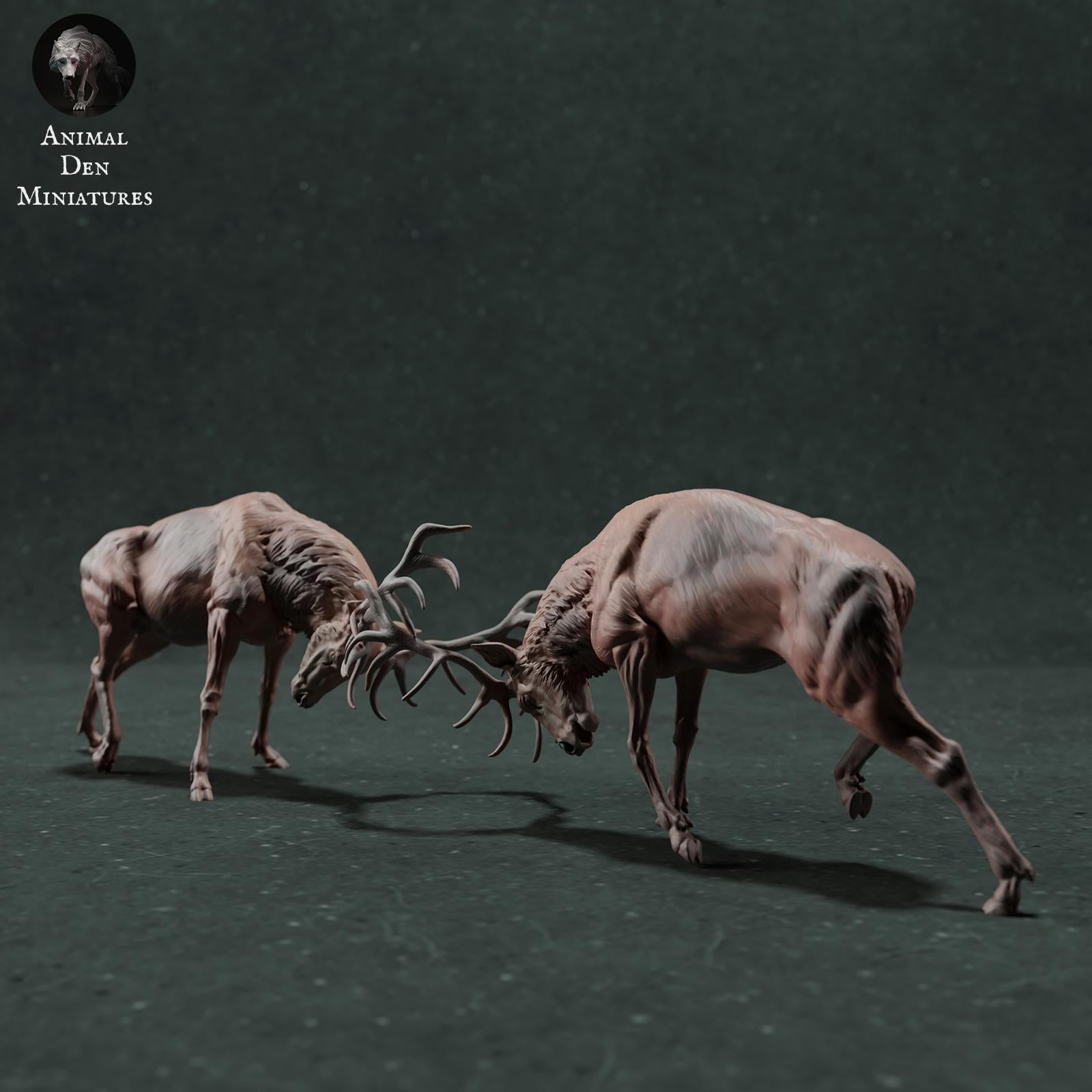 Product photo Animal Figure Diorama, Model Building: 0: Wildlife Figure: Fighting Red Deer – Stag Fight Diorama (Ref 01_01_71)