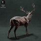 Product photo Animal Figure Diorama, Model Building: 0: Wildlife Figure: Red Deer – Stag (Ref 01_01_72)