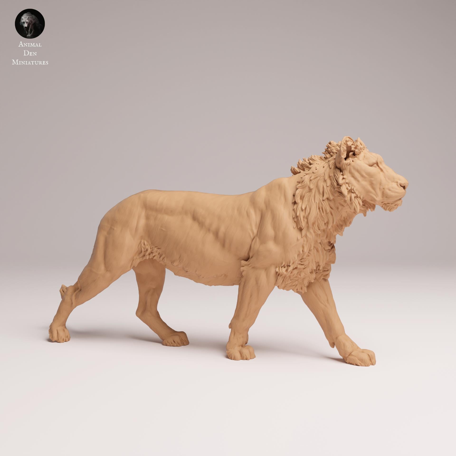 Product photo Animal Figure Diorama, Model Building: 0: Savanna Animal Figure: Young Lion – Subadult (Ref 25_08_04)