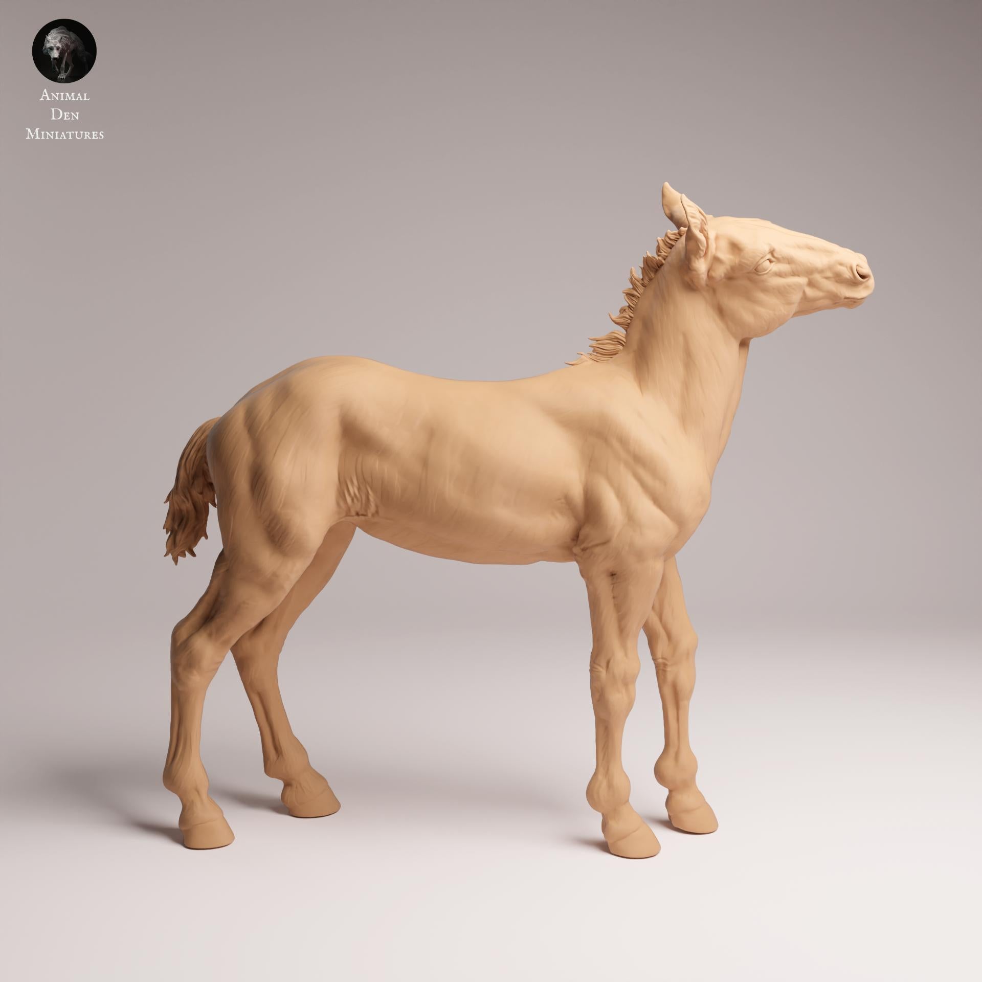 Product photo Animal Figure Diorama, Model Building: 0: Farm Animal Figure: Mustang Calf – Foal (Ref 25_09_13)