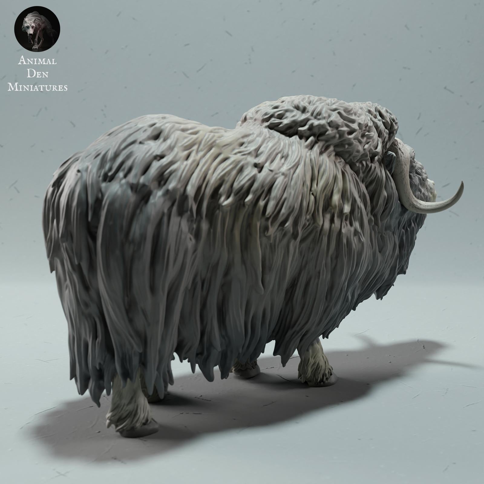 Product photo animal figure diorama, model building: 0: Wildlife figure: Muskox – calling bull (Ref 01_01_69)