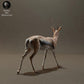 Product photo Animal Figure Diorama, Model Building: 0: Savanna Animals Figure: Thomson's Gazelle (Ref 01_01_57)