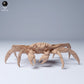 Produktfoto Tier Figur Diorama, Modellbau: 0: Meerestier Figur: Sally Lightfoot Krabbe (Ref 24_08_11)