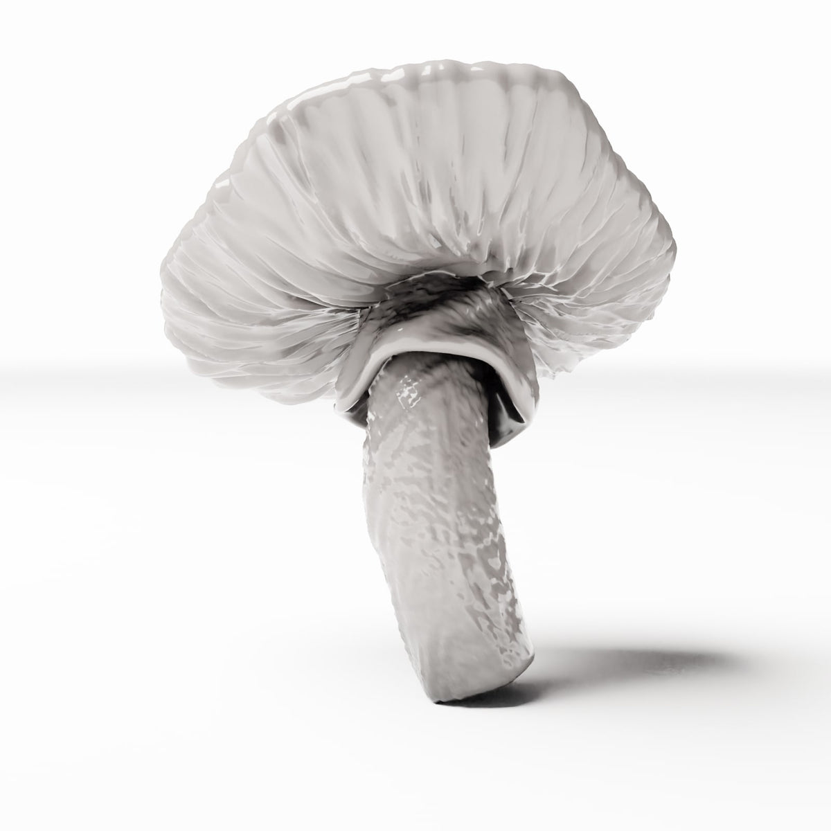 Diorama model-making product photo 2: Diorama plants: Spotted forest mushroom (Ref. 440D)
