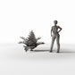 Diorama model-making product photo 1: Diorama plants: fern plant with fronds (Ref. 459D)