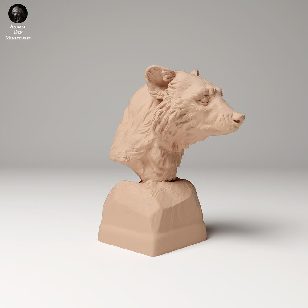 Product photo 0: Wildlife animal figure: Raccoon - Bust (24_09_10)