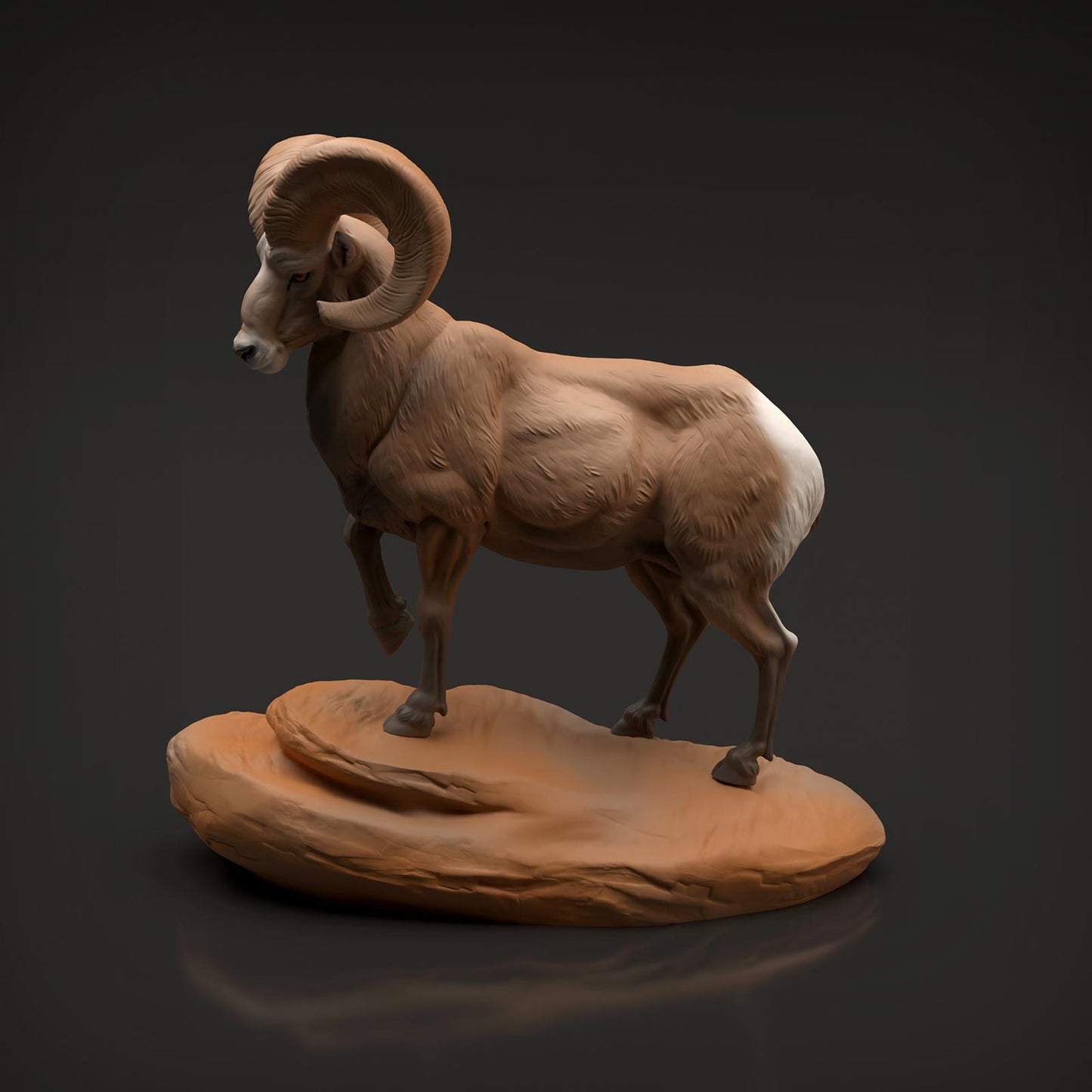 Product photo Animal Figure Diorama, Model Building: 0: Wildlife Figure: Bighorn Sheep Ram (Ref 01_01_89)