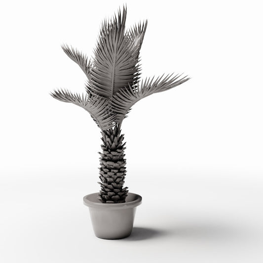 Diorama model-making product photo 0: Diorama plants: potted sago palm (Ref. 503D)