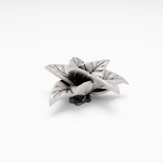 Diorama model-making product photo 0: Diorama plants: rosette-forming ground cover (Ref. 524D)