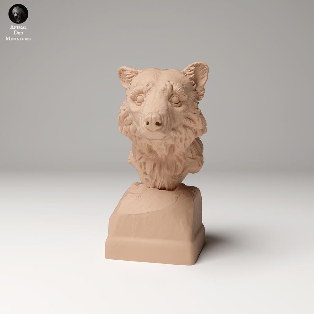 Product photo 1: Wildlife animal figure: Raccoon - Bust (24_09_10)