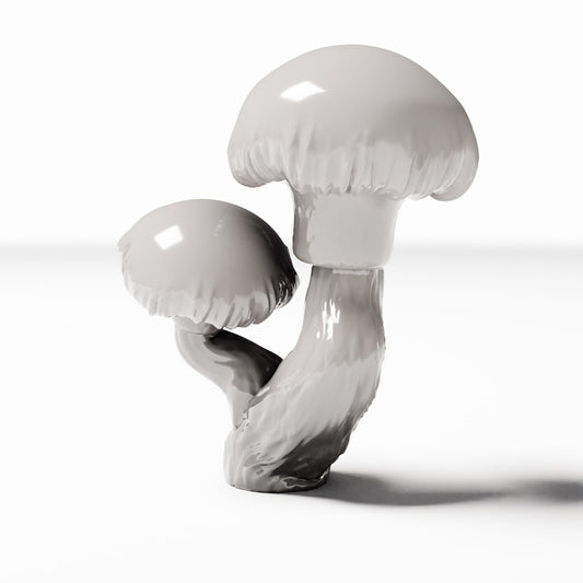 Diorama model-making product photo 0: Diorama plants: round-capped mushrooms, mushroom cluster (Ref. 568D)