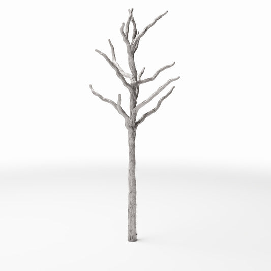 Diorama model-making product photo 0: Diorama plants: Bare tree trunk with branches (Ref. 579D)