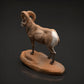 Product photo Animal Figure Diorama, Model Building: 0: Wildlife Figure: Bighorn Sheep Ram (Ref 01_01_89)