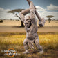 Product photo Tabletop 28mm The Printing Goes Ever On (TPGEO) 0: Brutal Half-Trolls: Looting Pack of Dangerous Beasts