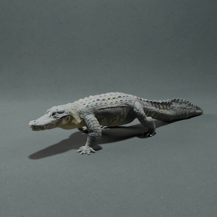 Product photo animal figure Animal Den Miniatures 3: swamp animal figure: Mississippi alligator (22_10_12)