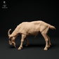 Product photo animal figure diorama, model building: 0: Alpine goat: grazing