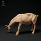 Product photo animal figure diorama, model building: 0: Alpine goat: grazing