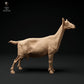 Product photo Animal Figure Diorama, Model Building: 0: Alpine Goat