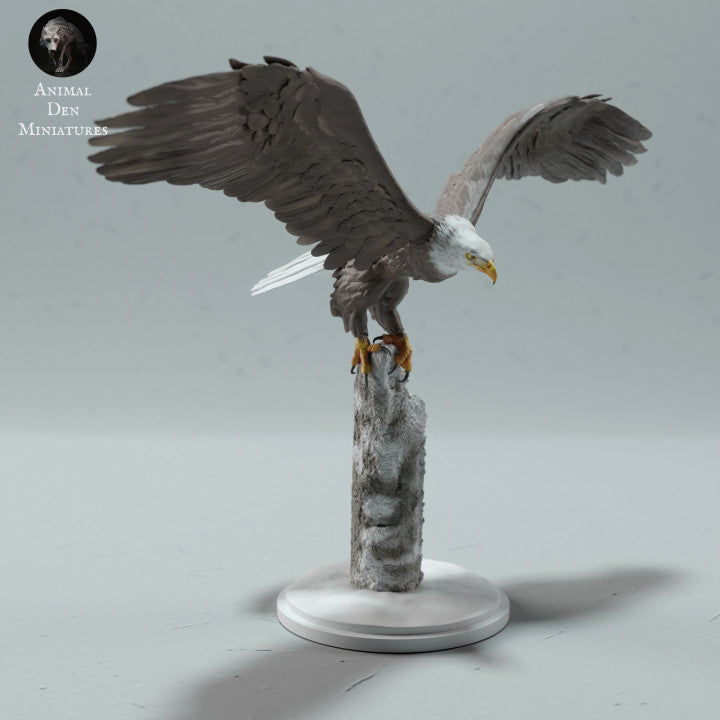 Product photo animal figure Animal Den Miniatures 0: Wild bird animal figure: Bald eagle (23_01_13)