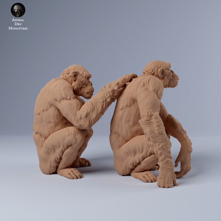 Product photo Animal Figure Diorama, Model Building: 0: Chimpanzees grooming each other: Animals from Africa