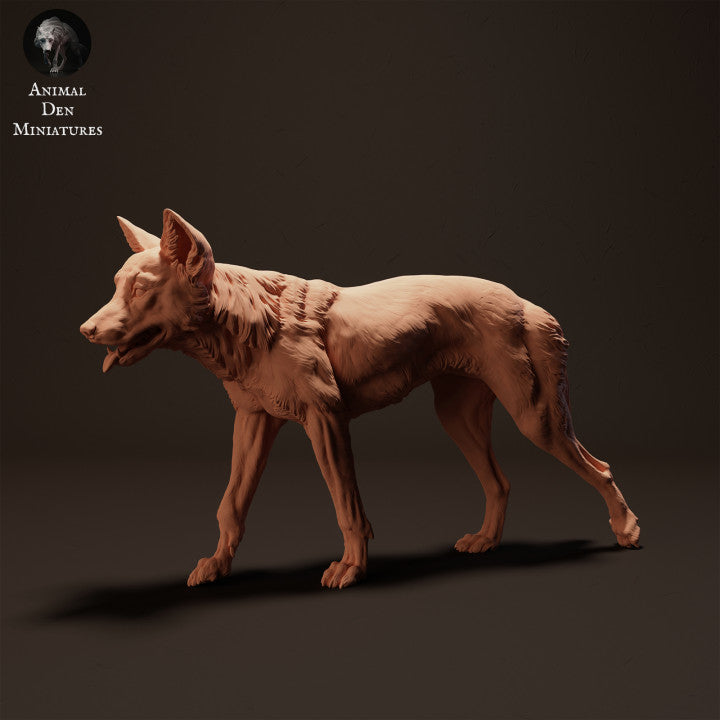 Product photo animal figure Animal Den Miniatures 0: Wild animal figure: Dingo - walking (23_04_07)