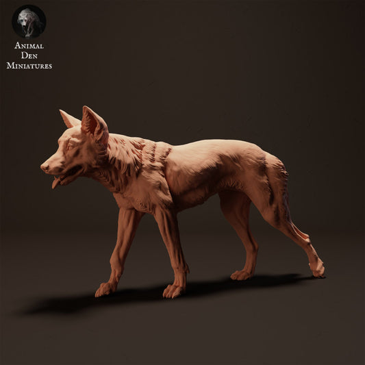 Product photo animal figure Animal Den Miniatures 0: Wild animal figure: Dingo - walking (23_04_07)