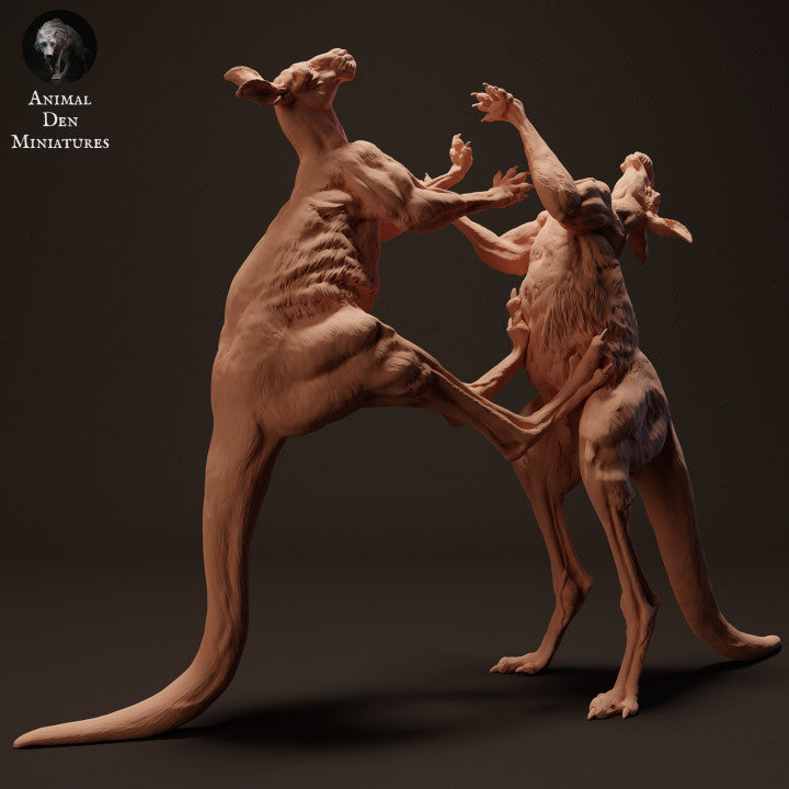Product photo animal figure Animal Den Miniatures 1: Wildlife animal figure: Red giant kangaroos fighting (23_04_10)