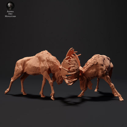 Product photo Animal Figure Diorama, Model Building: 0: Mighty Moose Fighting: Animals of the North