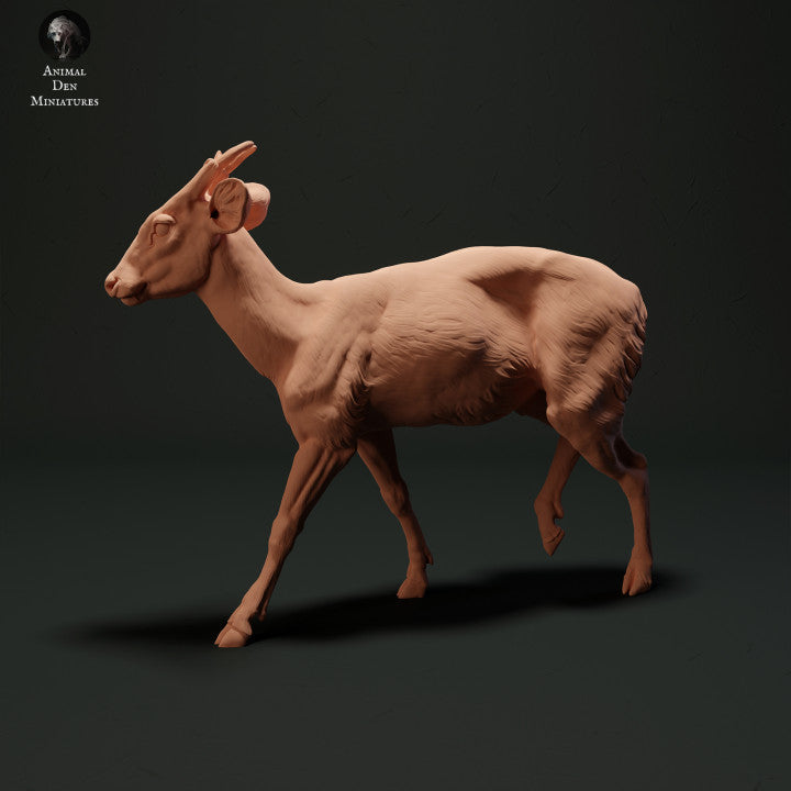 Product photo animal figure Animal Den Miniatures 0: Wild animal figure: Muntjac deer (23_05_04)