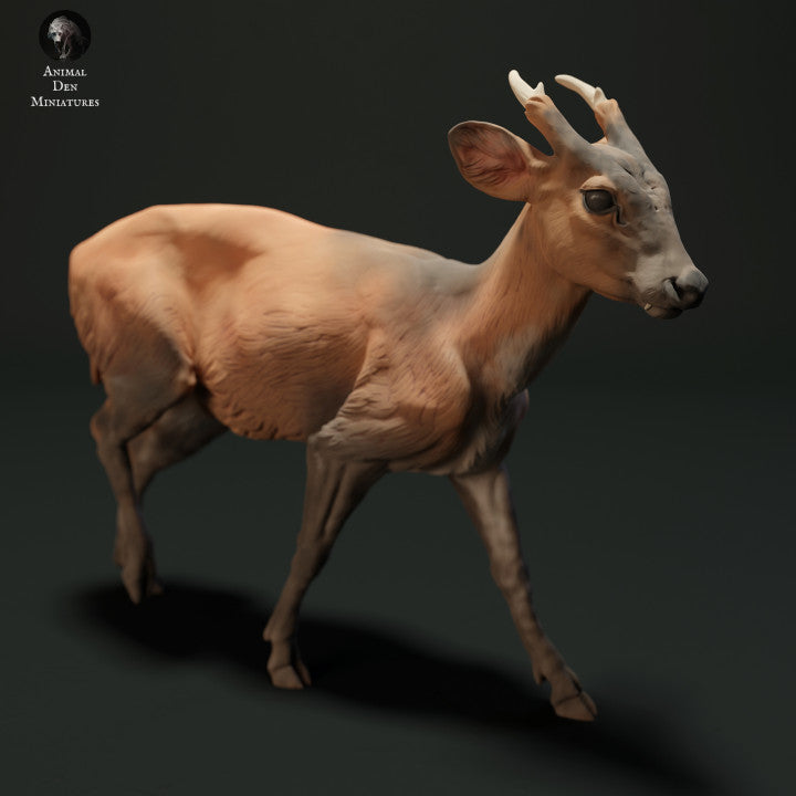Product photo animal figure Animal Den Miniatures 2: Wild animal figure: Muntjac deer (23_05_04)
