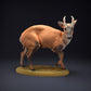 Product photo animal figure Animal Den Miniatures 1: Wild animal figure: Muntjac deer (22_08_08)