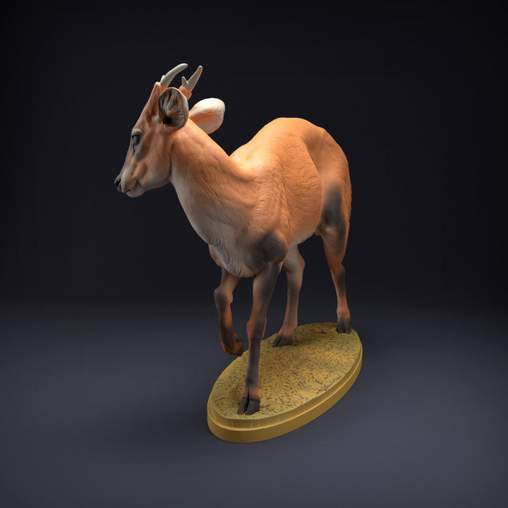 Product photo animal figure Animal Den Miniatures 3: Wild animal figure: Muntjac deer (22_08_08)