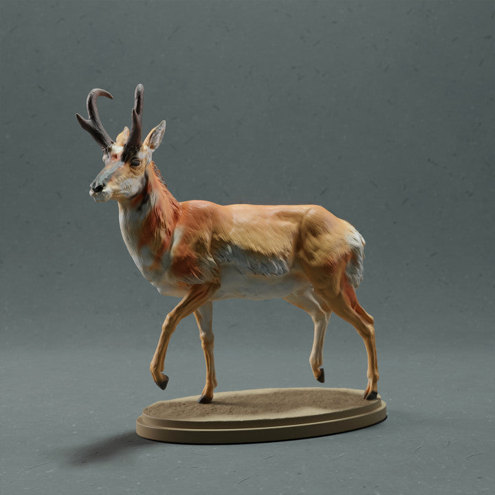 Product photo animal figure Animal Den Miniatures 0: Wild animal figure: Pronghorn - Male (22_10_09)