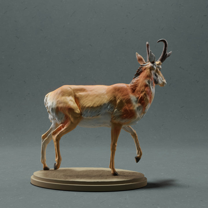 Product photo animal figure Animal Den Miniatures 2: Wild animal figure: Pronghorn - Male (22_10_09)