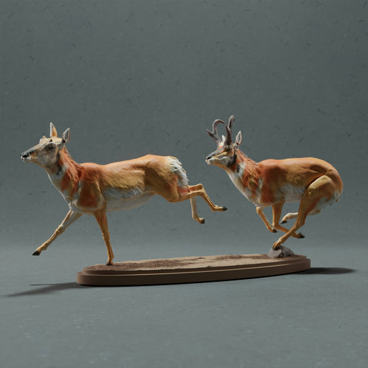 Product photo animal figure Animal Den Miniatures 0: Wild animal figure: Pronghorn - galloping (22_10_10)