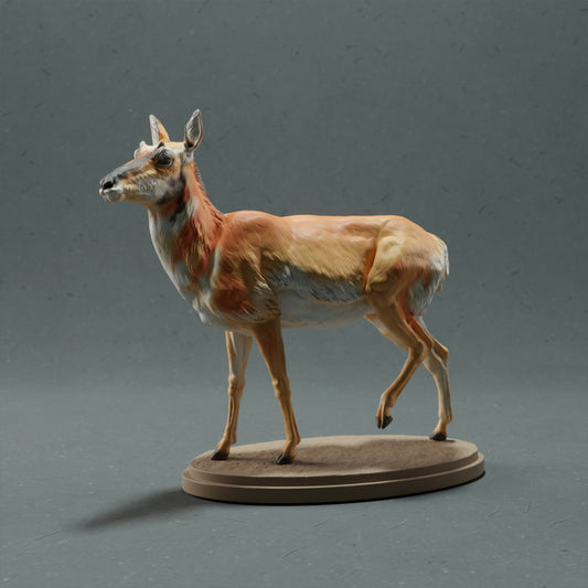 Product photo animal figure Animal Den Miniatures 0: Wild animal figure: Pronghorn - Female (22_10_08)