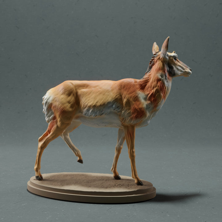 Product photo animal figure Animal Den Miniatures 2: Wild animal figure: Pronghorn - Female (22_10_08)