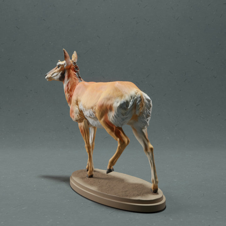 Product photo animal figure Animal Den Miniatures 3: Wildlife animal figure: Pronghorn - Female (22_10_08)