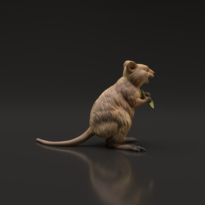 Product photo animal figure Animal Den Miniatures 2: Wild animal figure: Quokka (22_06_07)