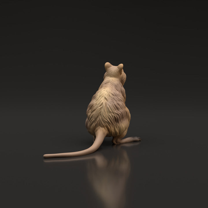 Product photo animal figure Animal Den Miniatures 3: Wild animal figure: Quokka (22_06_07)