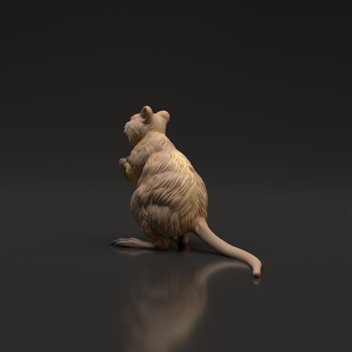 Product photo animal figure Animal Den Miniatures 4: Wild animal figure: Quokka (22_06_07)