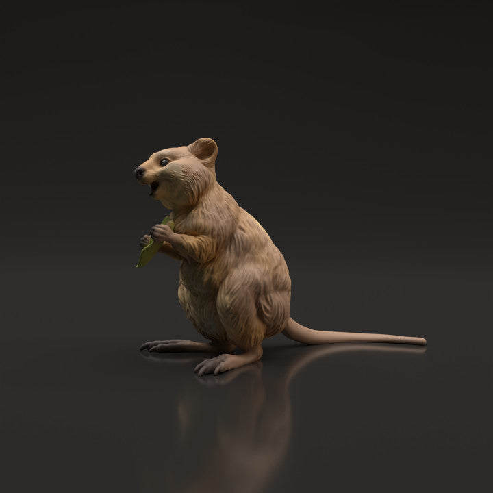 Product photo animal figure Animal Den Miniatures 5: Wild animal figure: Quokka (22_06_07)