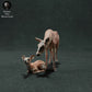 Product photo animal figure Animal Den Miniatures 0: Wild animal figure: Red deer hind with calf (22_11_10)
