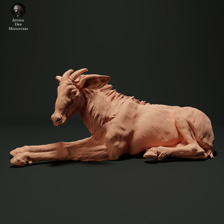 Product photo animal figure Animal Den Miniatures 0: Wild animal figure: Sumatran serow - lying down (23_05_05)